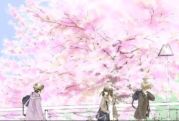 深入了解 小辣椒导航